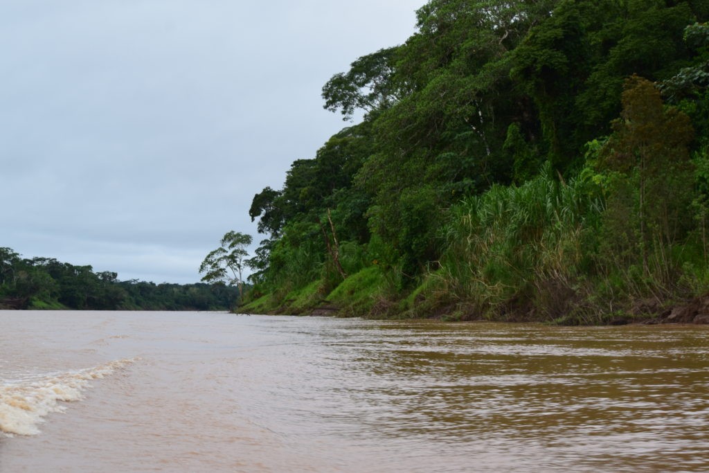 An Amazonian Experience - The Migrant Doc